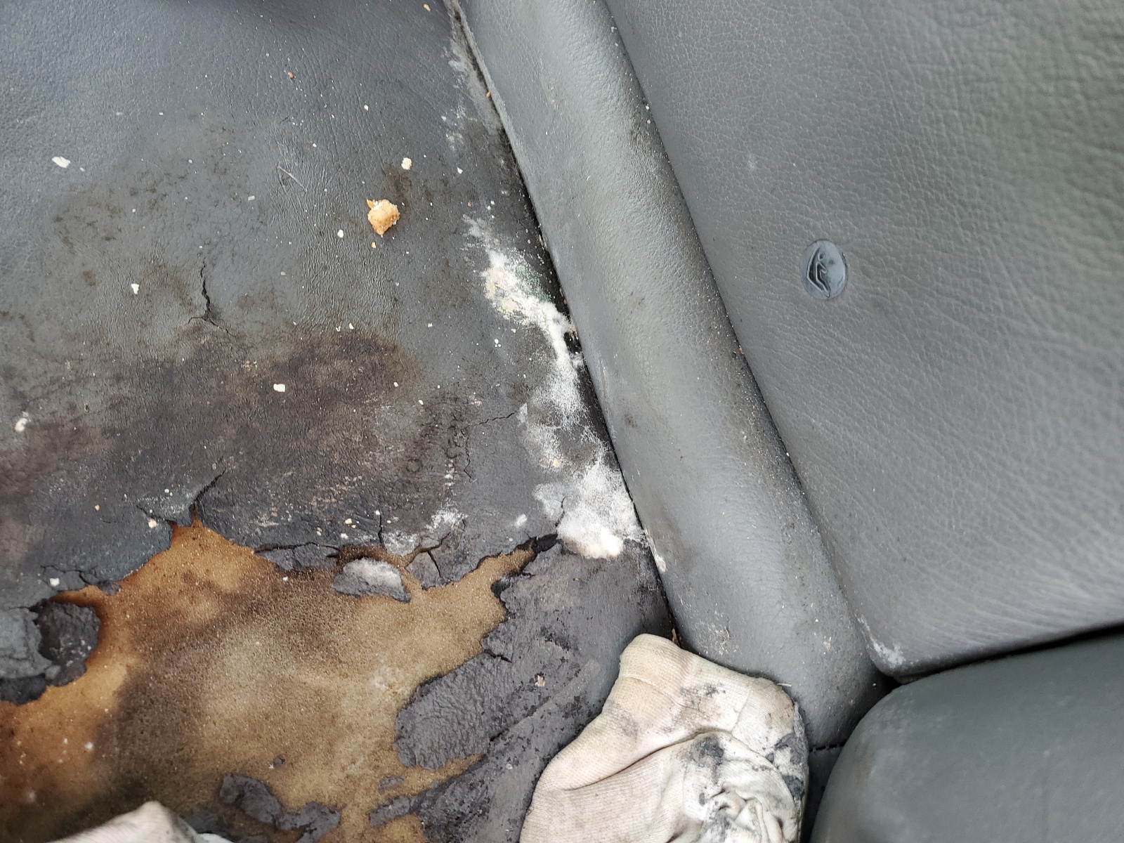 1HGCM56844A072221 2004 Honda Accord Ex