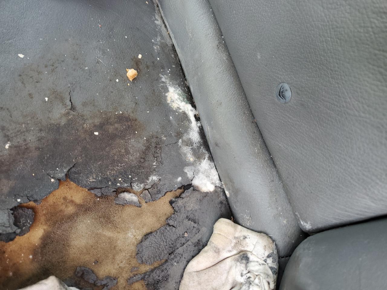 2004 Honda Accord Ex VIN: 1HGCM56844A072221 Lot: 62293094