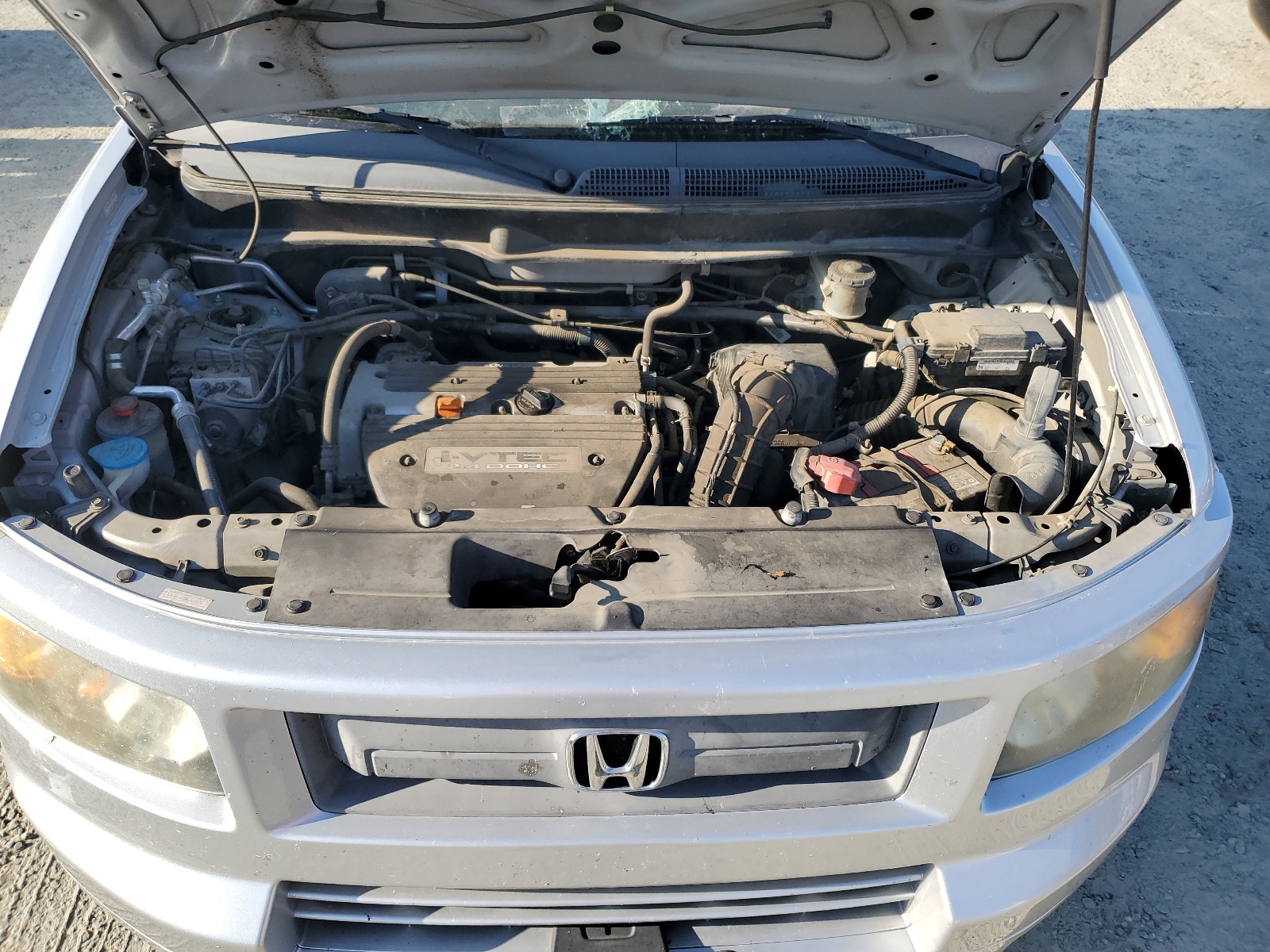 5J6YH18958L005834 2008 Honda Element Sc