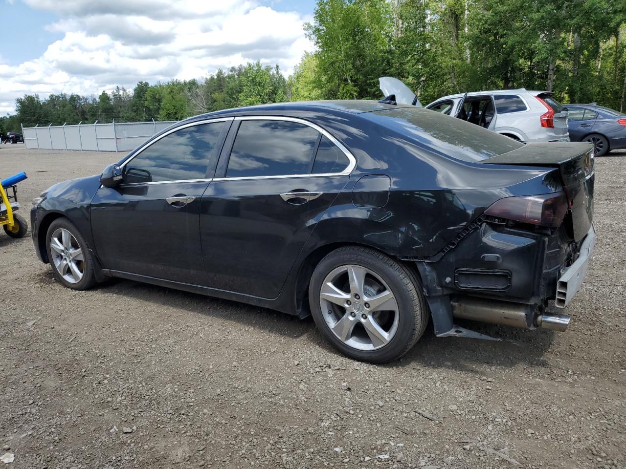 2011 Acura Tsx VIN: JH4CU2F64BC800390 Lot: 61430434