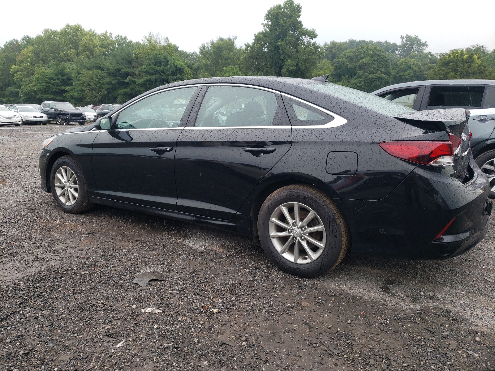 5NPE24AFXKH794229 2019 Hyundai Sonata Se