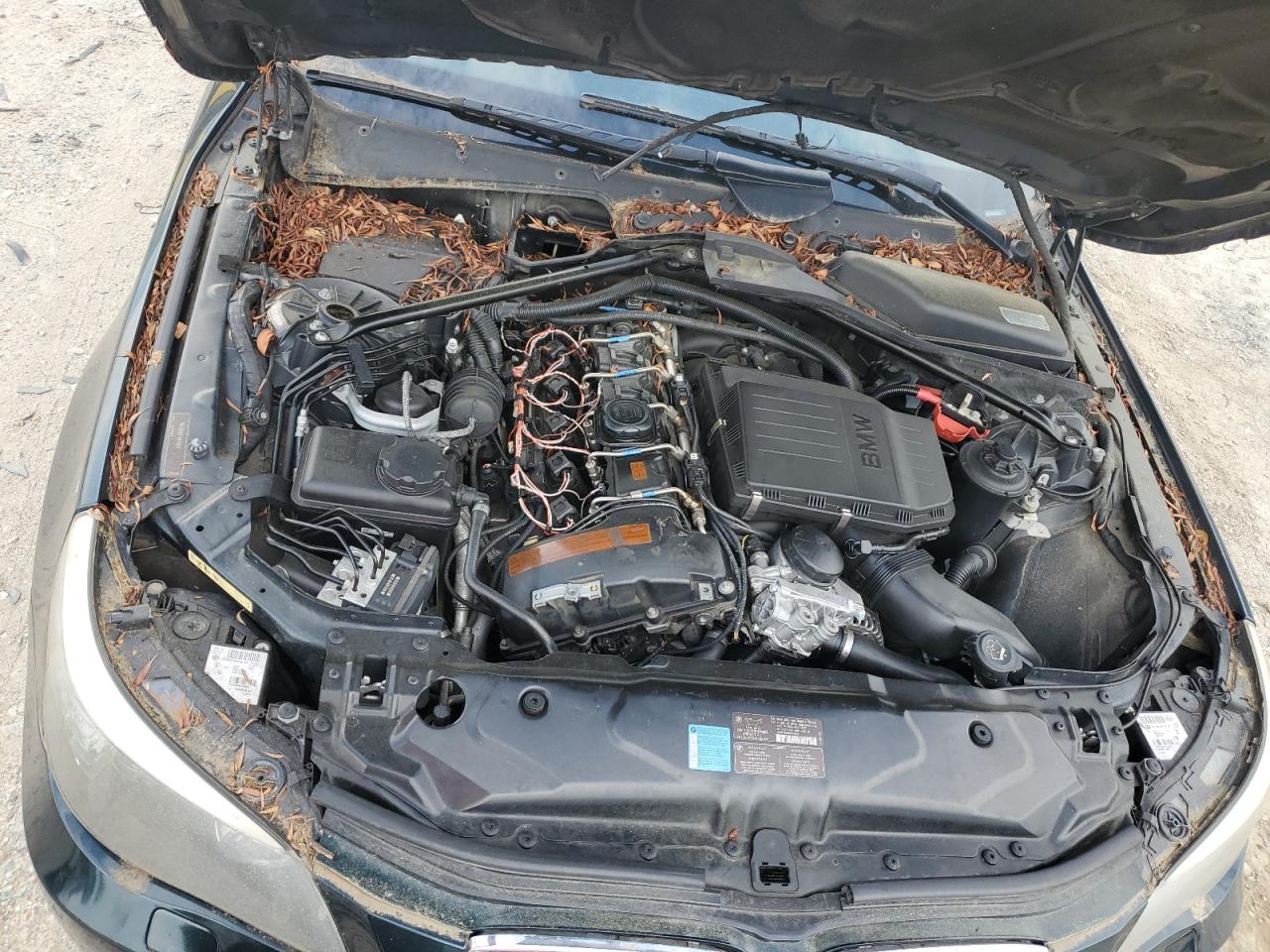 2008 BMW 535 I VIN: WBANW13518CZ81884 Lot: 62288114