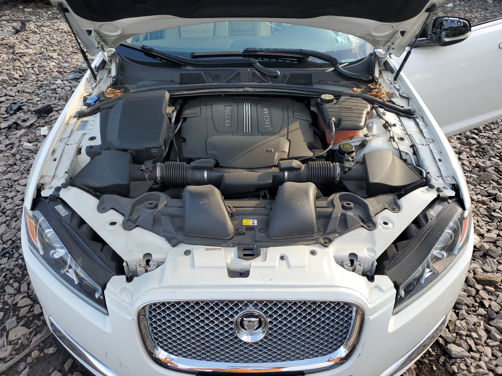 SAJWA0HB0CLS54535 2012 Jaguar Xf Portfolio