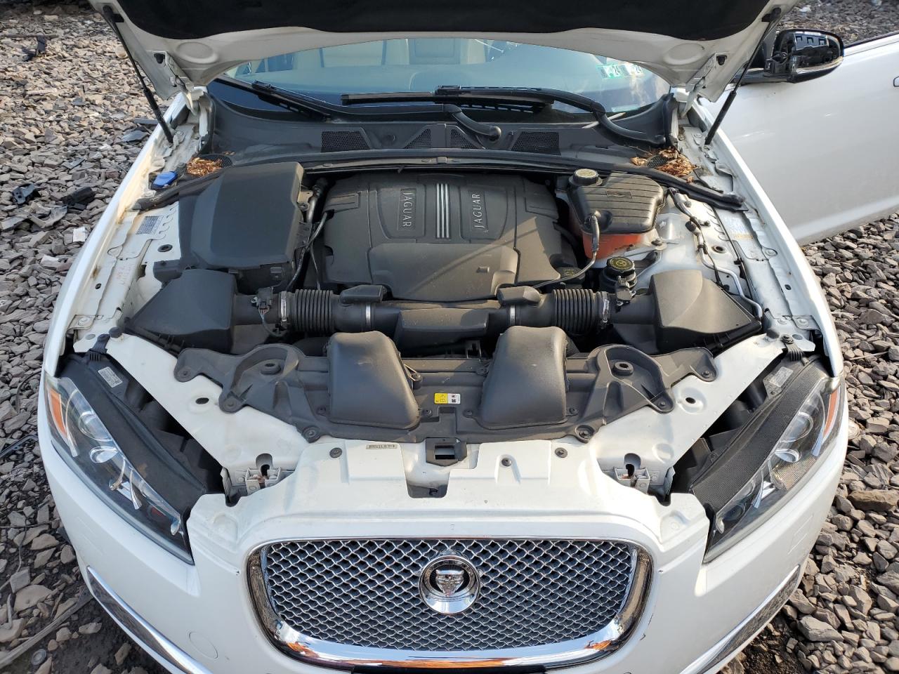 2012 Jaguar Xf Portfolio VIN: SAJWA0HB0CLS54535 Lot: 62873214