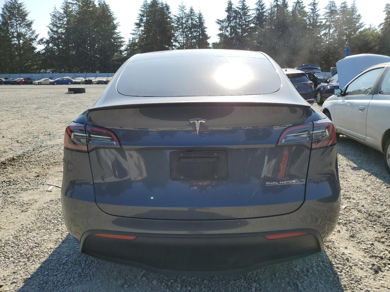 2023 Tesla Model Y VIN: 7SAYGDEFXPF917030 Lot: 63703174