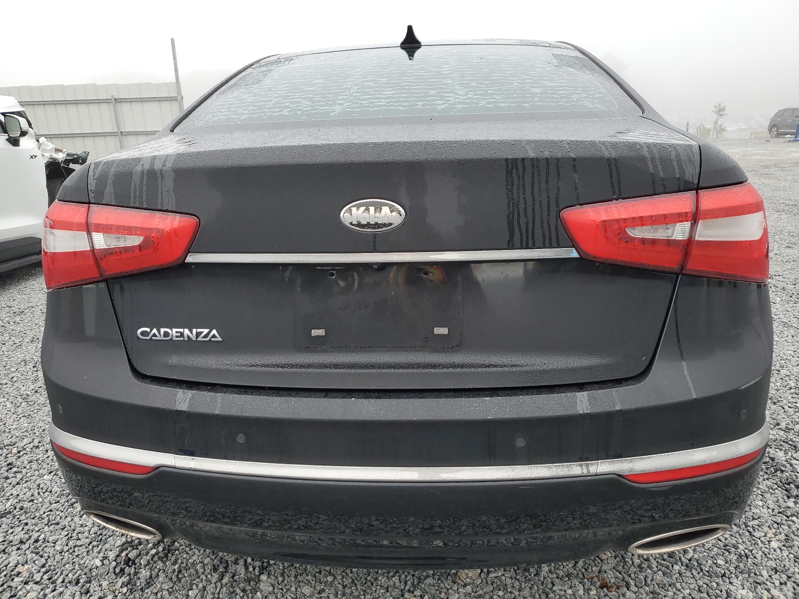 2014 Kia Cadenza Premium vin: KNALN4D78E5139040