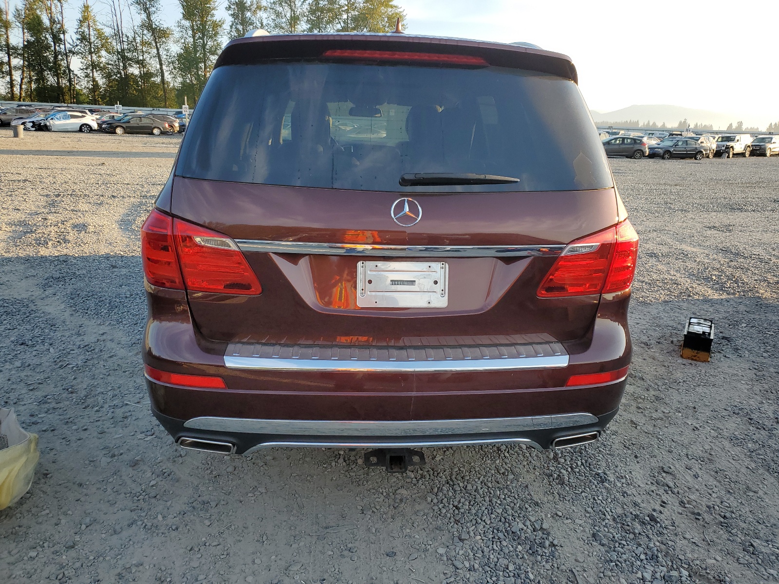 4JGDF7CE4DA150303 2013 Mercedes-Benz Gl 450 4Matic