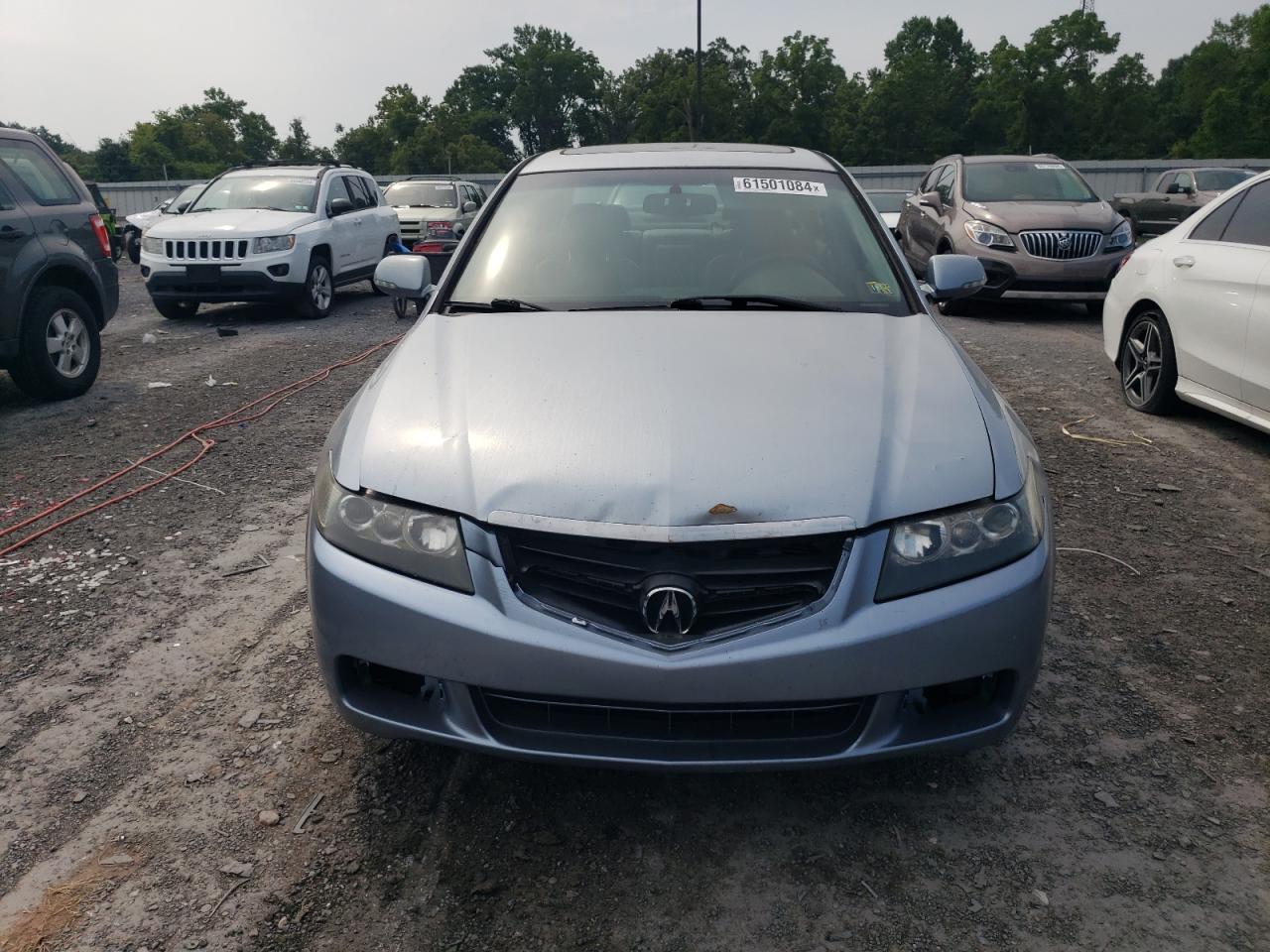 2005 Acura Tsx VIN: JH4CL96895C022542 Lot: 61501084