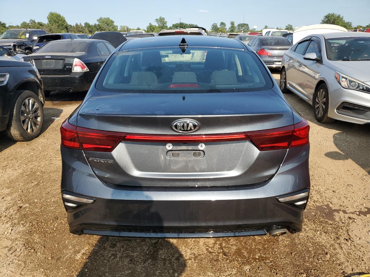 2020 Kia Forte Fe VIN: 3KPF24AD7LE183230 Lot: 64373114