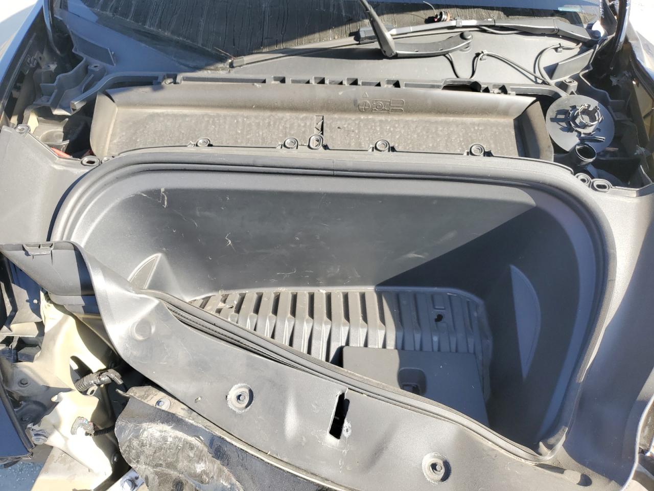 2023 Tesla Model Y VIN: 7SAYGDEE2PF619708 Lot: 64184854