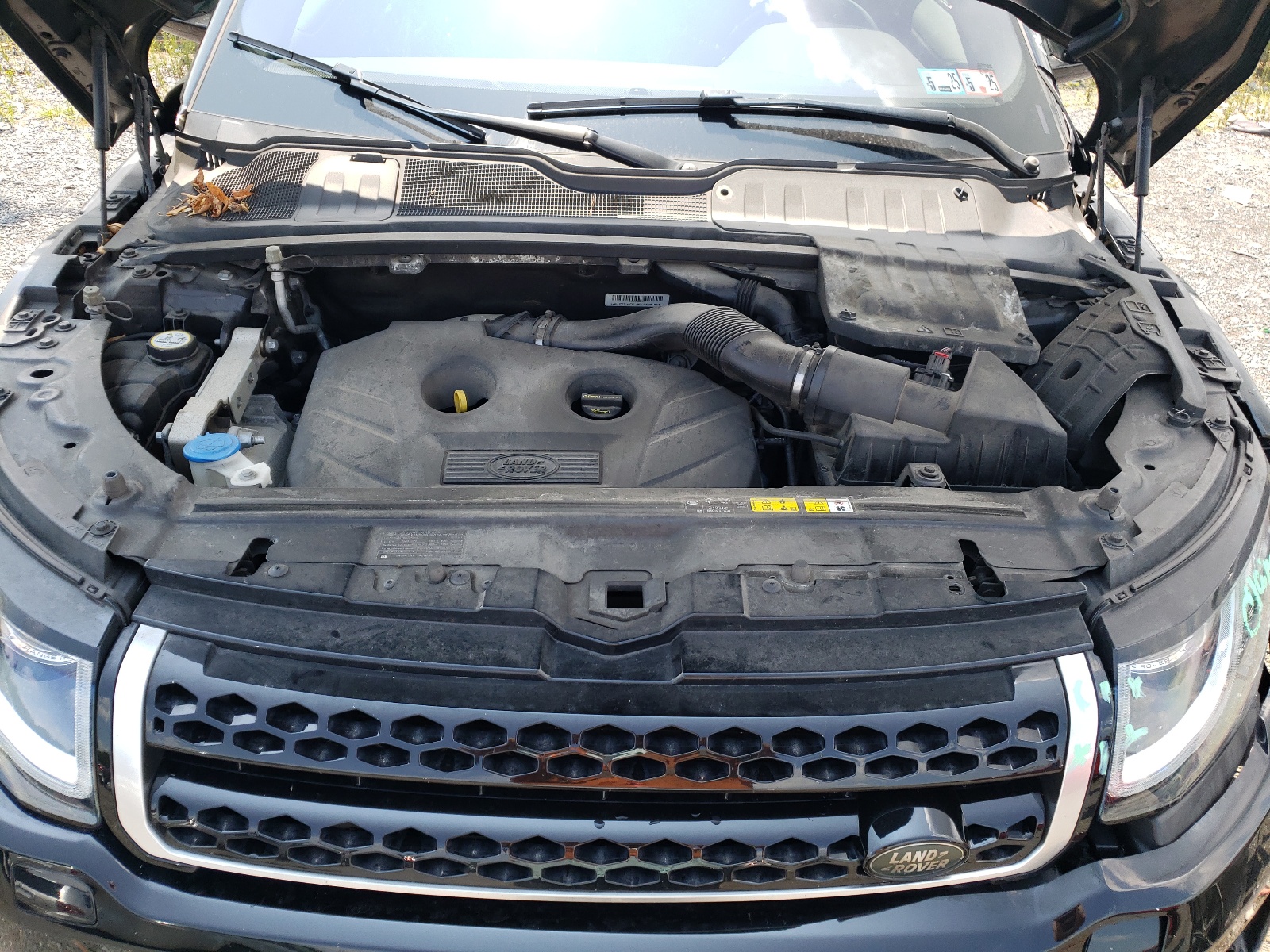 SALVP2BG9GH146859 2016 Land Rover Range Rover Evoque Se