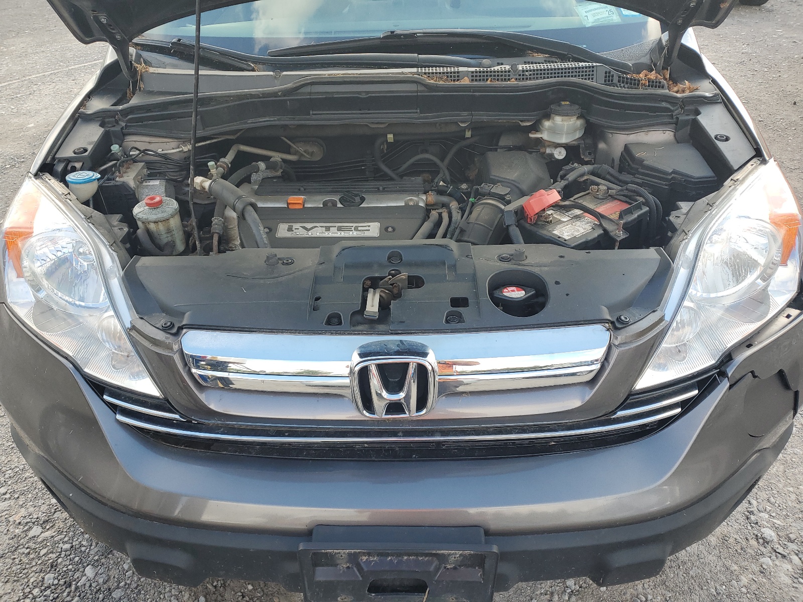 5J6RE48539L049974 2009 Honda Cr-V Ex