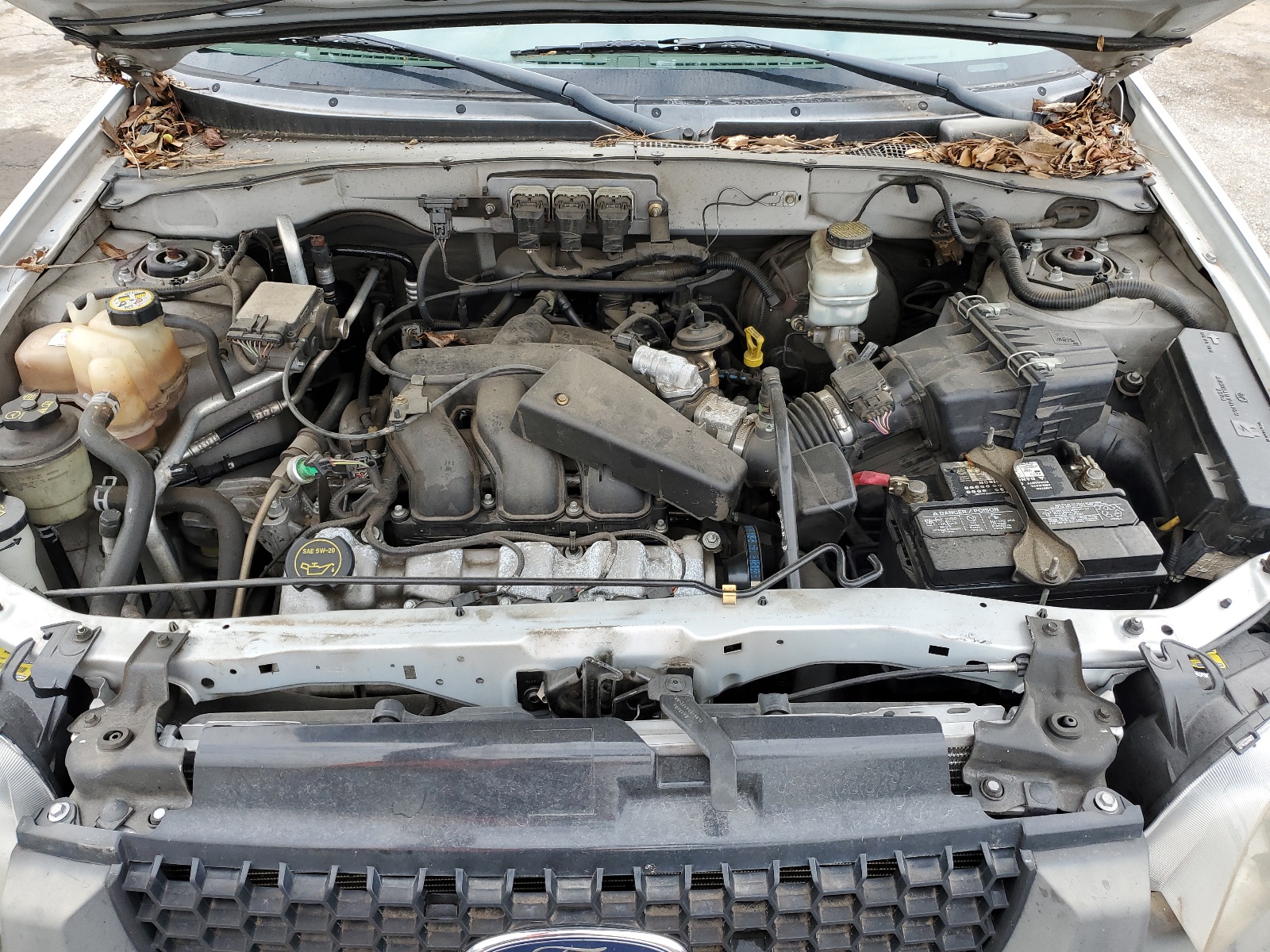 1FMYU031X6KA19403 2006 Ford Escape Xlt