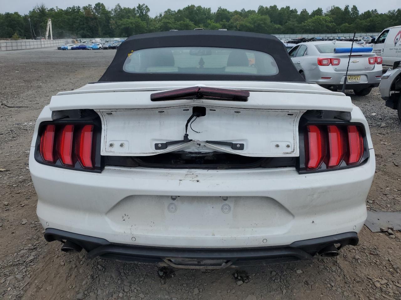 2019 Ford Mustang VIN: 1FATP8UH7K5171167 Lot: 64271594