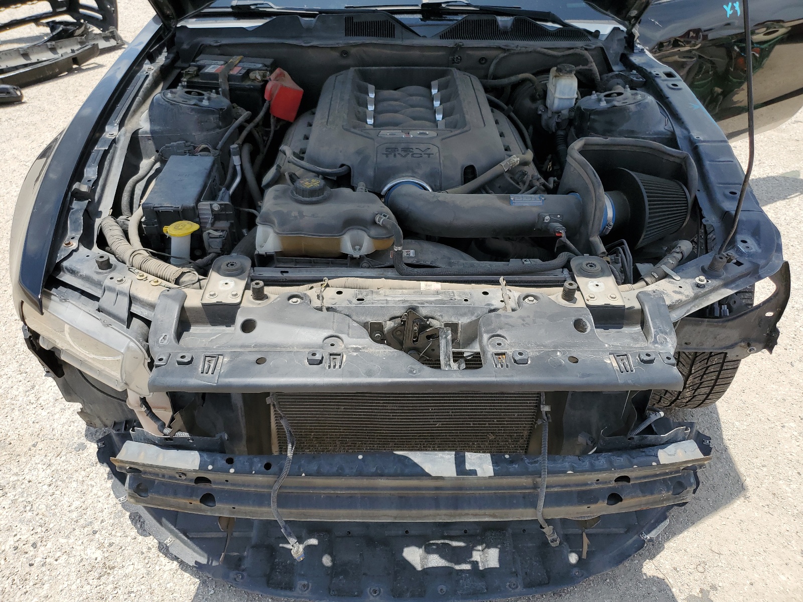 1ZVBP8CFXD5279191 2013 Ford Mustang Gt