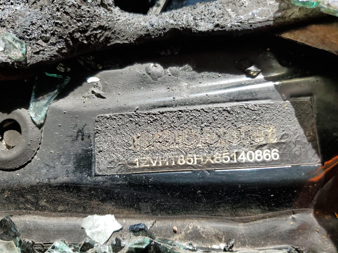 2008 Ford Mustang Gt VIN: 1ZVHT85HX85140866 Lot: 64652504