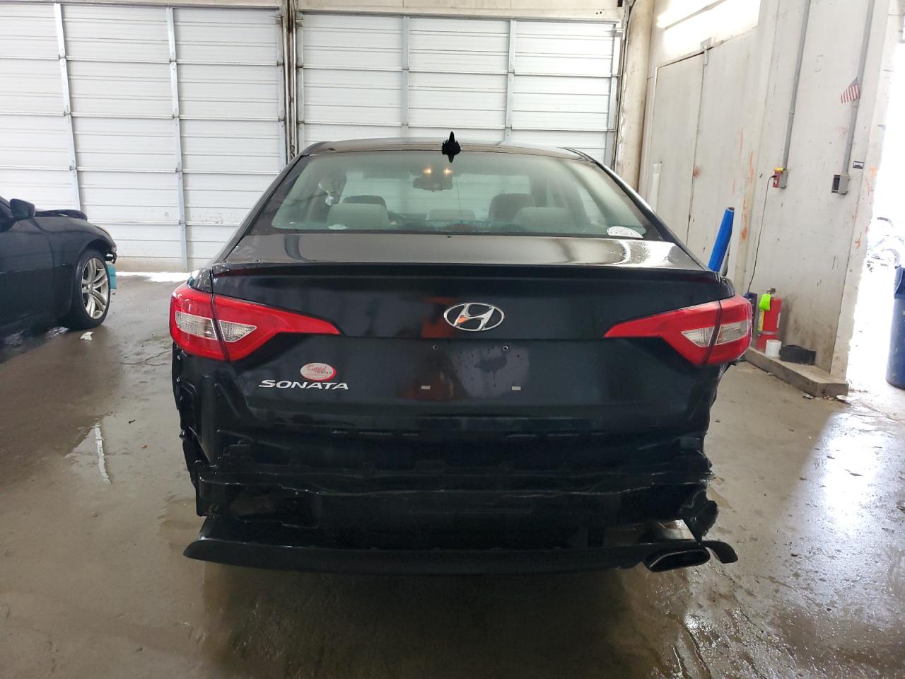 5NPE24AF1GH274993 2016 Hyundai Sonata Se