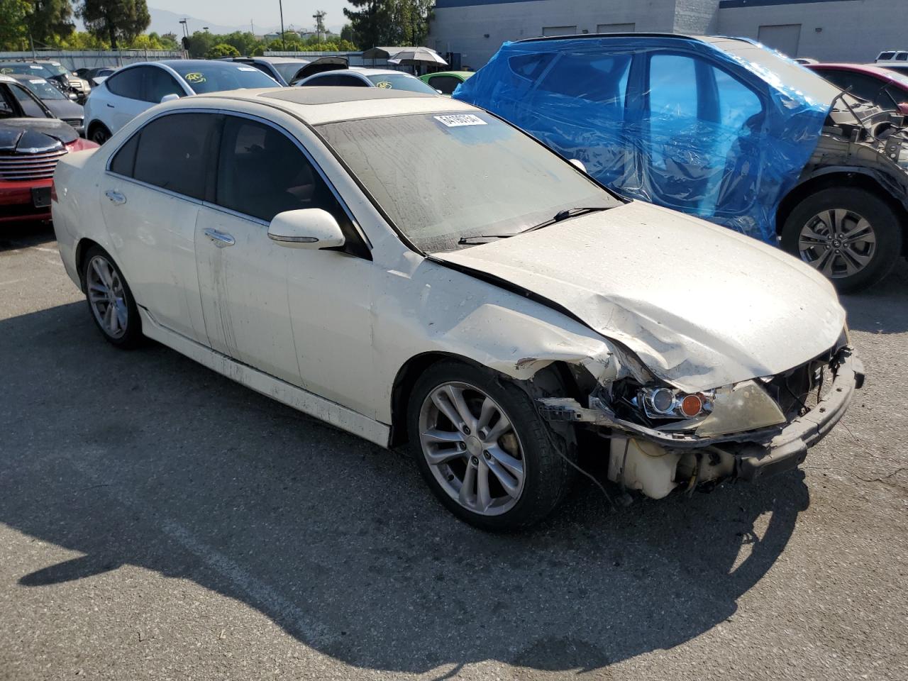 2006 Acura Tsx VIN: JH4CL96996C036550 Lot: 64190754