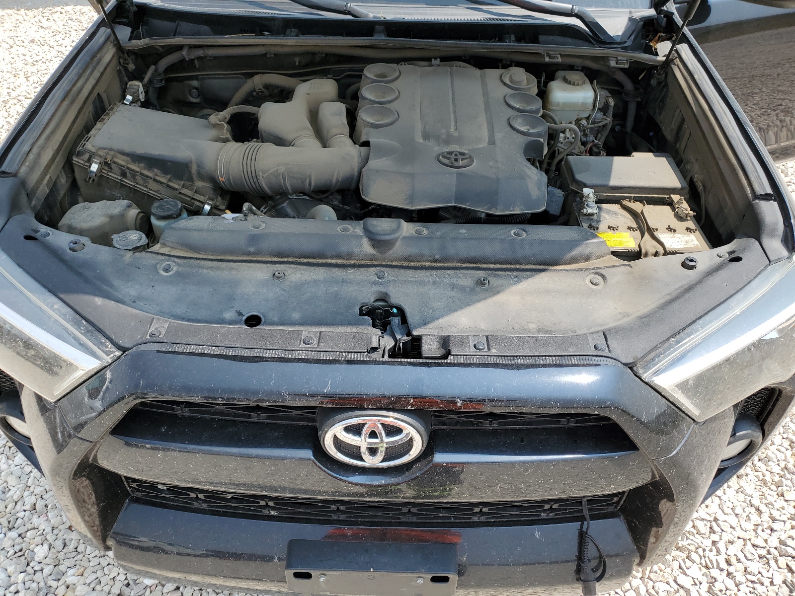 JTEBU5JR3J5513377 2018 Toyota 4Runner Sr5/Sr5 Premium