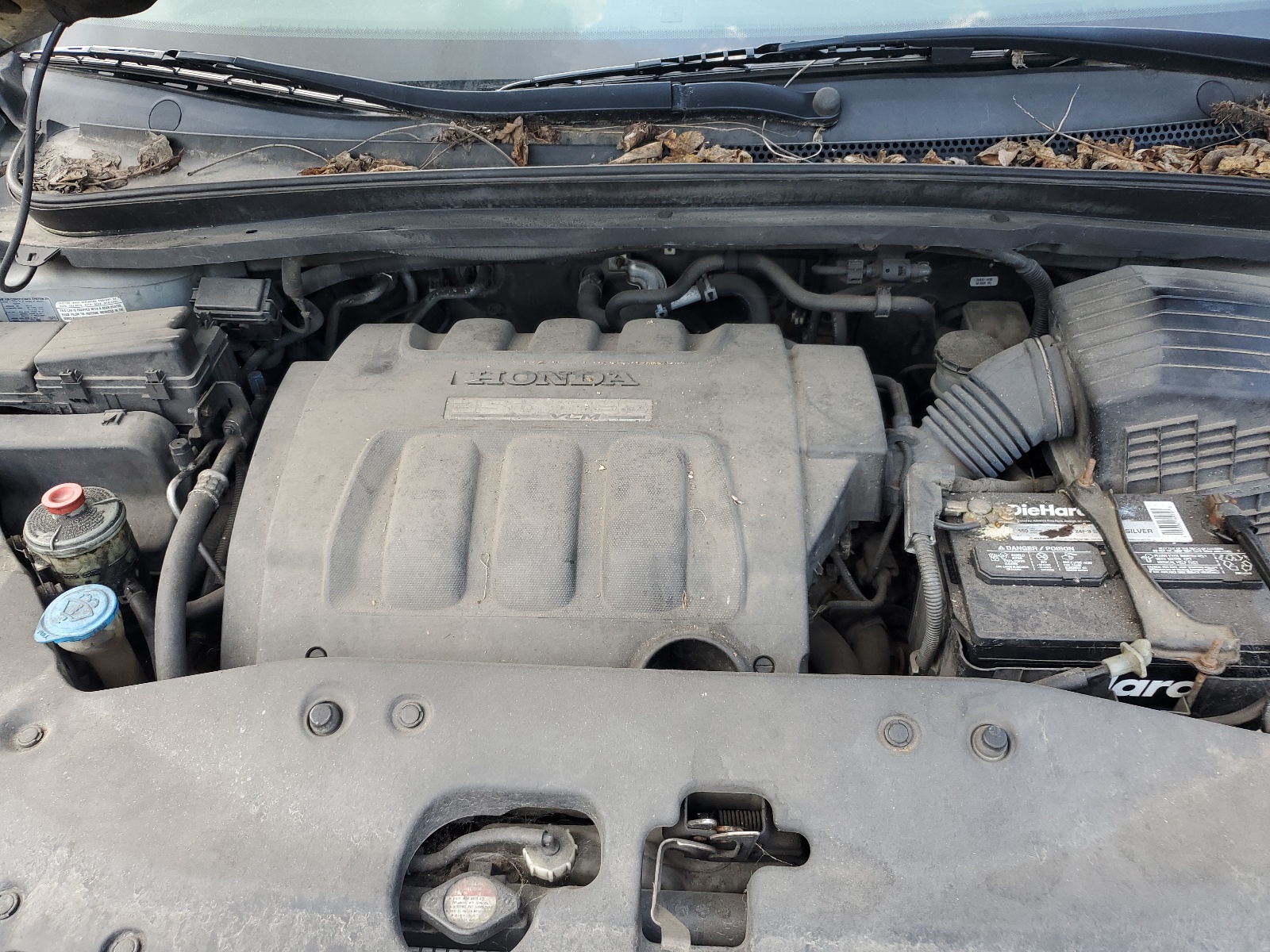 5FNRL38736B059877 2006 Honda Odyssey Exl