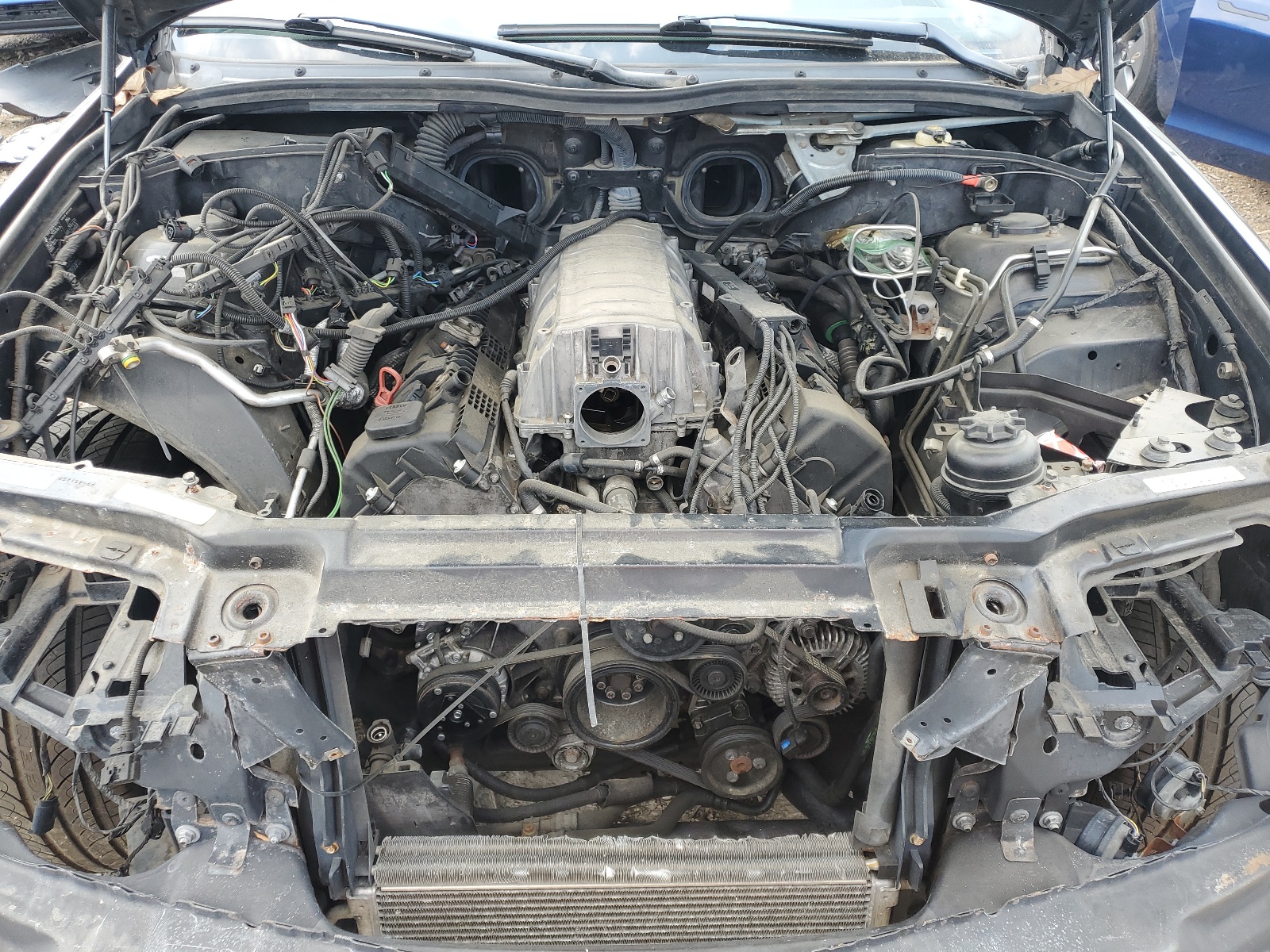 5UXFB53564LV04550 2004 BMW X5 4.4I