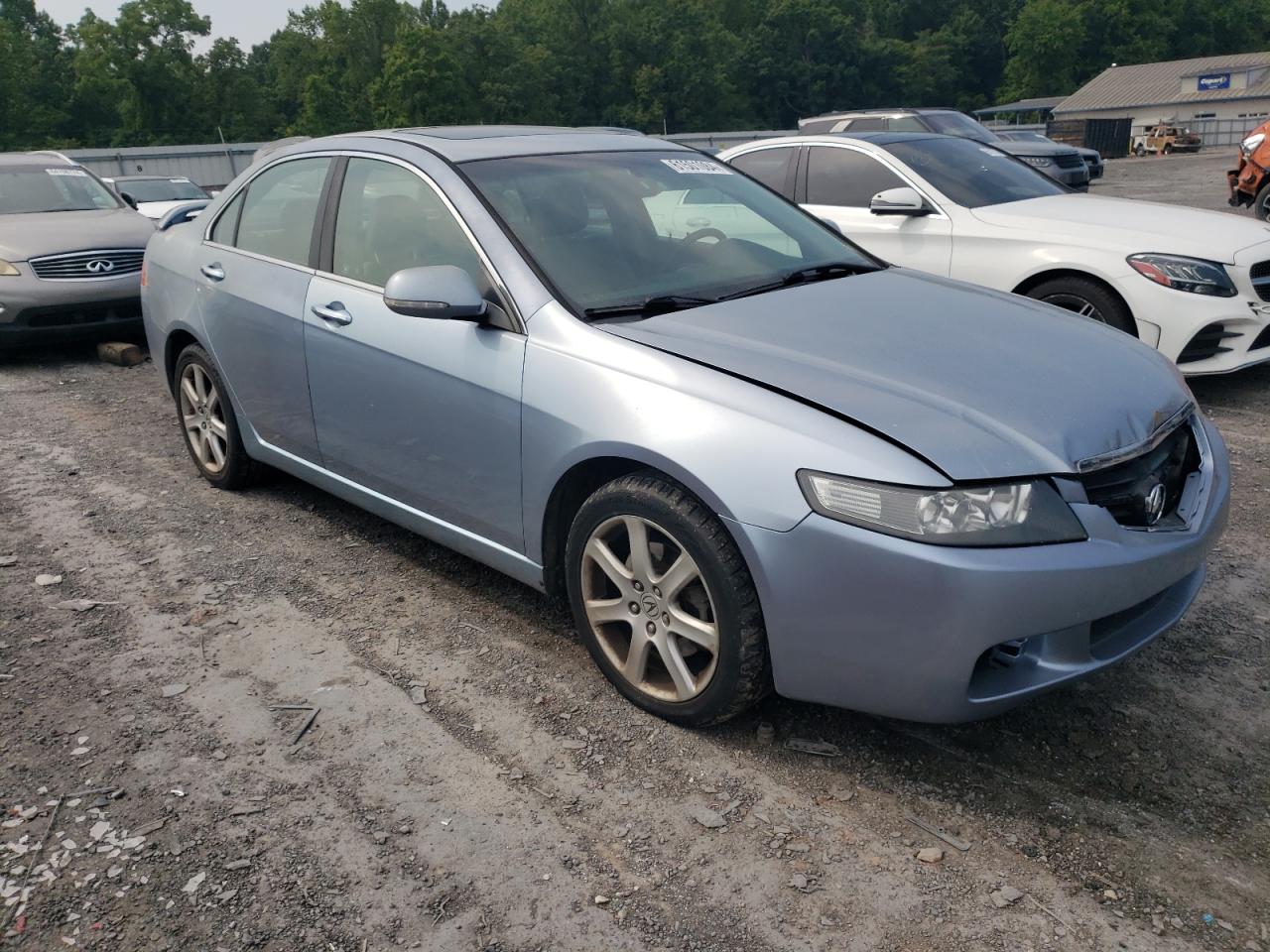 2005 Acura Tsx VIN: JH4CL96895C022542 Lot: 61501084