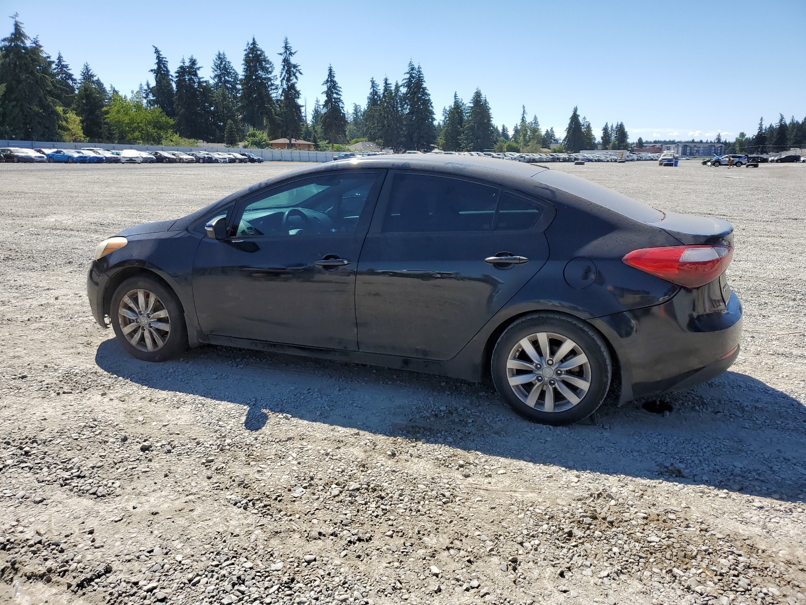 2014 Kia Forte Lx vin: KNAFX4A67E5142367