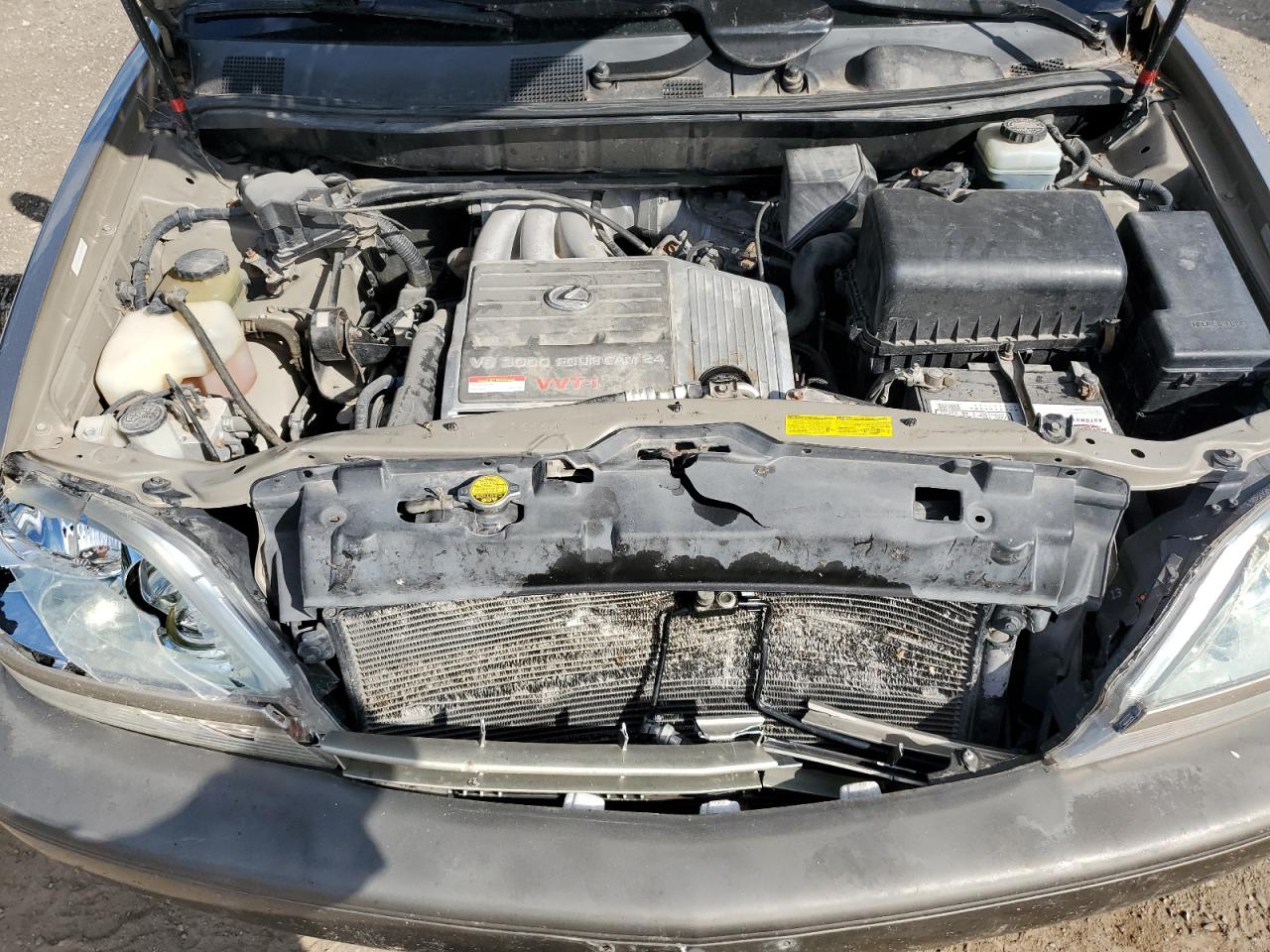 2001 Lexus Rx 300 VIN: JTJHF10U310201304 Lot: 63495884