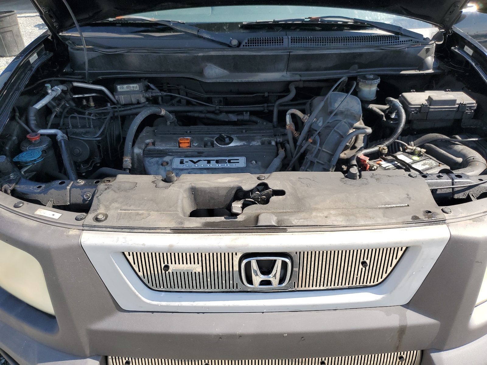 5J6YH28553L801186 2003 Honda Element Ex