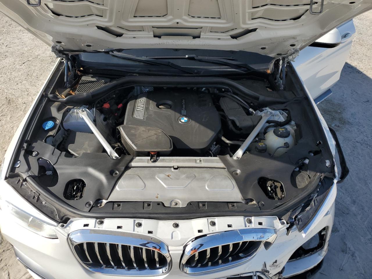 2019 BMW X3 Sdrive30I VIN: 5UXTR7C57KLE88725 Lot: 64616944