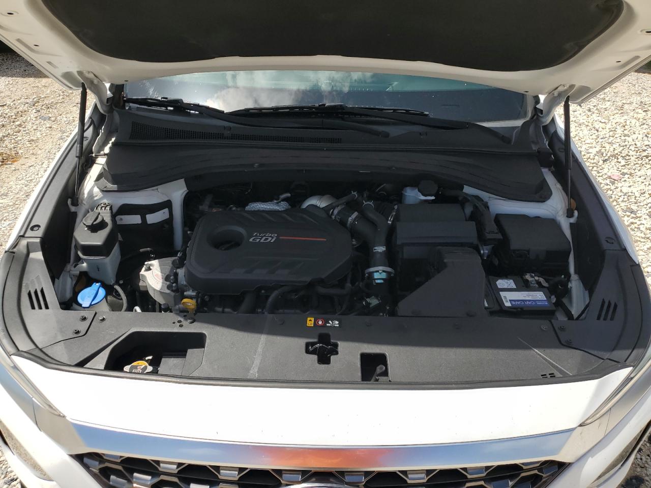 2020 Hyundai Santa Fe Sel VIN: 5NMS33AA5LH196854 Lot: 64802524