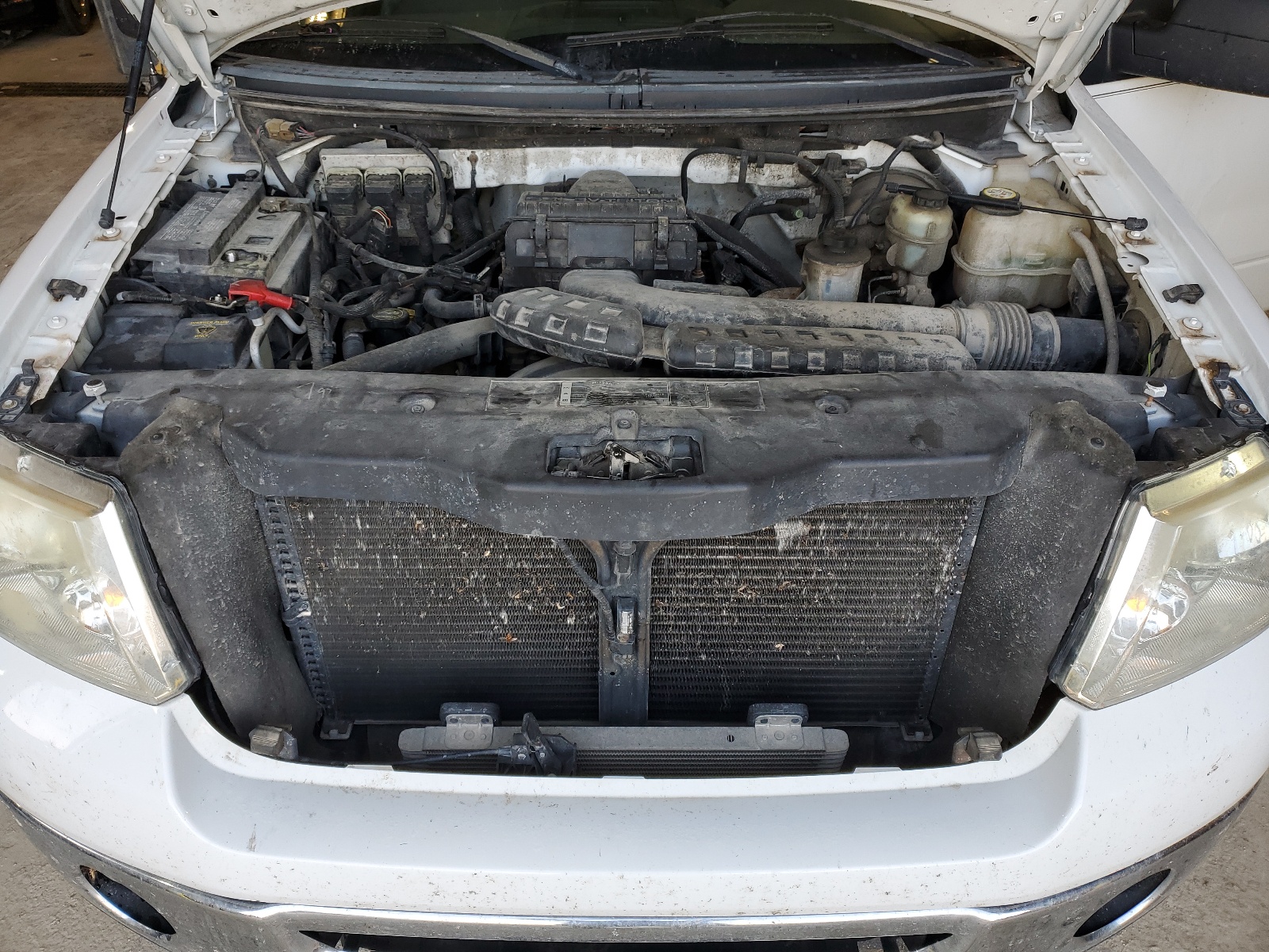 1FTPX14536NA16873 2006 Ford F150