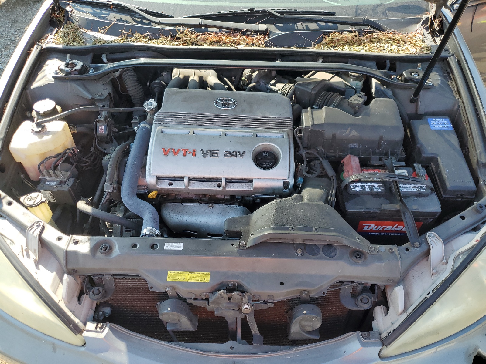 4T1BF32K44U576255 2004 Toyota Camry Le