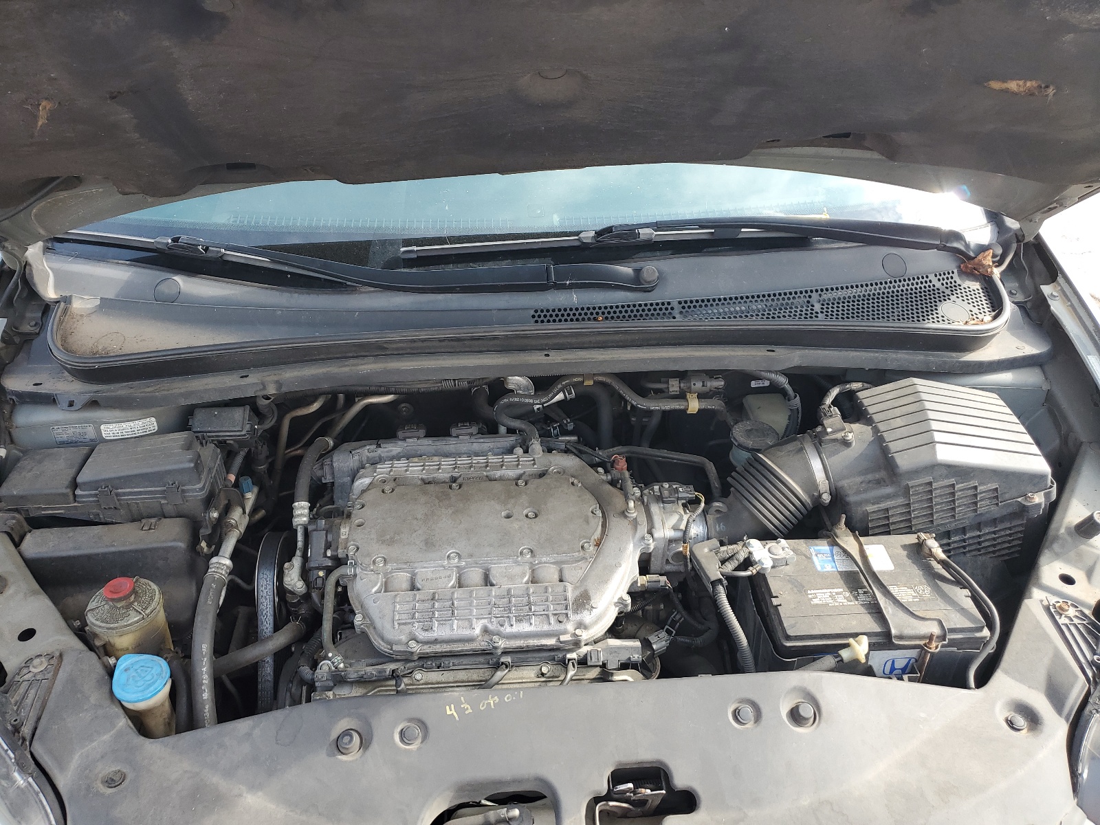 5FNRL38687B433084 2007 Honda Odyssey Exl