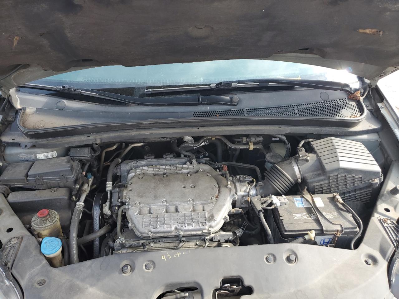 2007 Honda Odyssey Exl VIN: 5FNRL38687B433084 Lot: 64261084