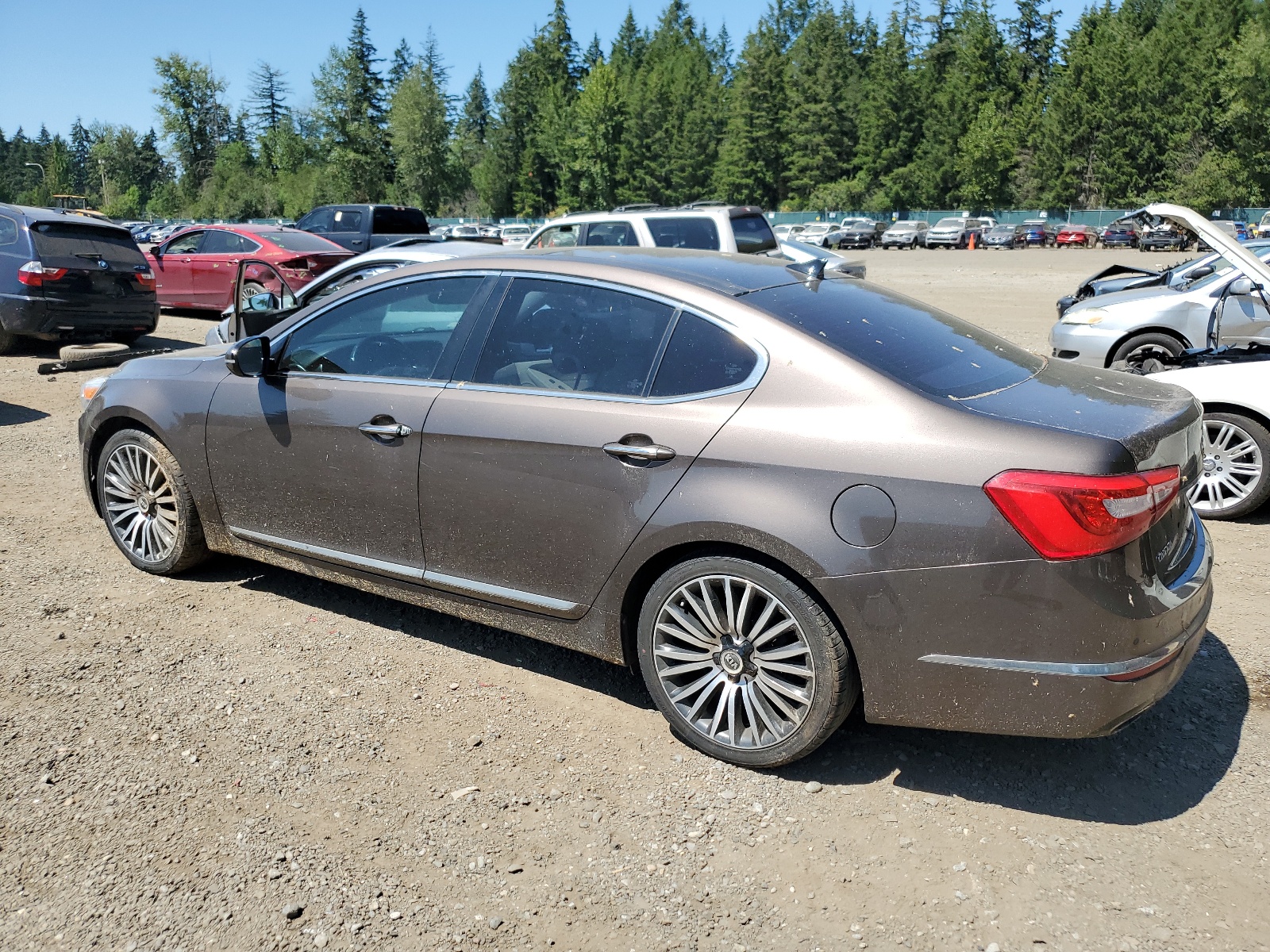 2014 Kia Cadenza Premium vin: KNALN4D72E5124498