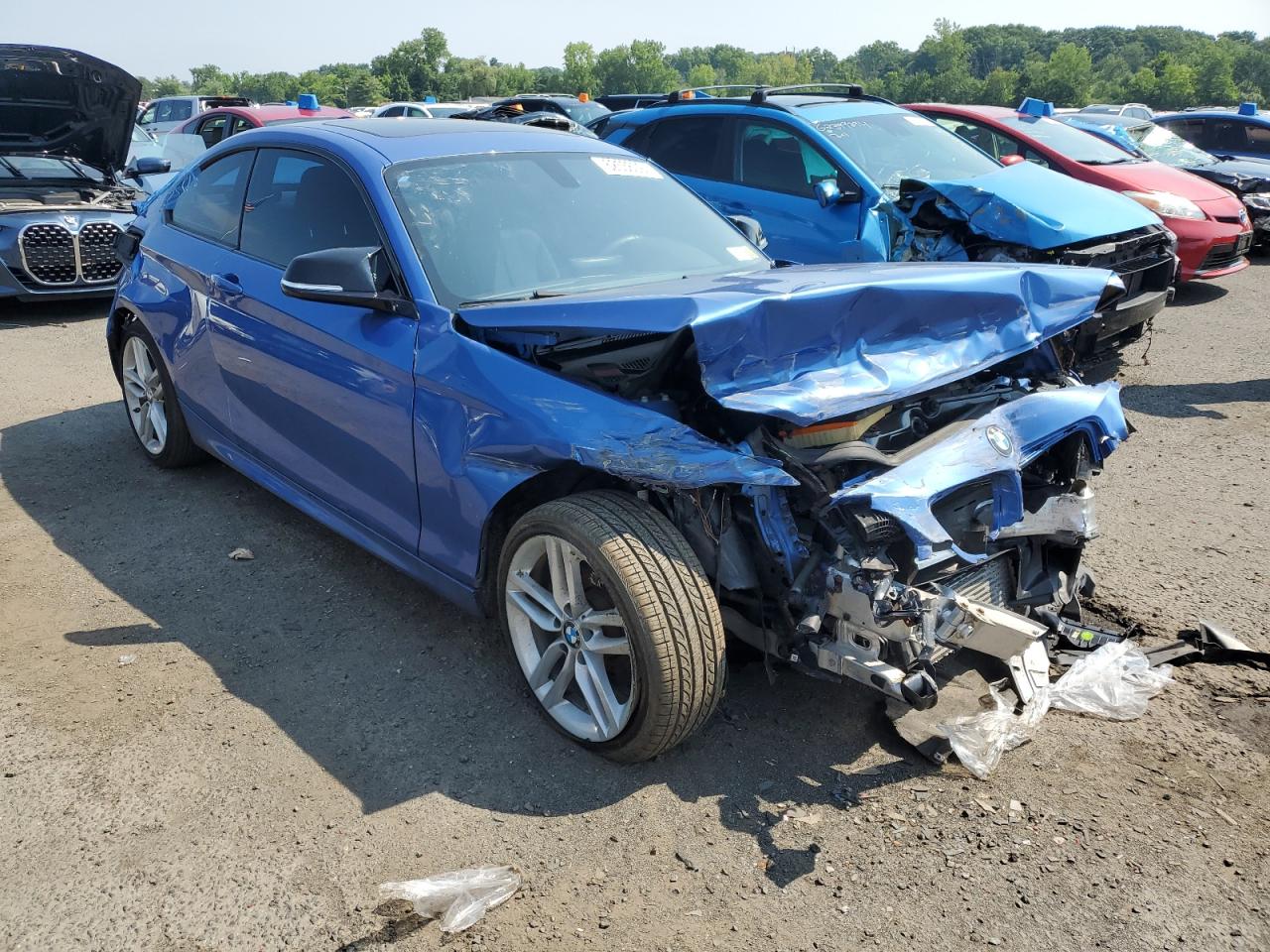 2015 BMW 228 Xi Sulev VIN: WBA1G9C59FVX96655 Lot: 62536094