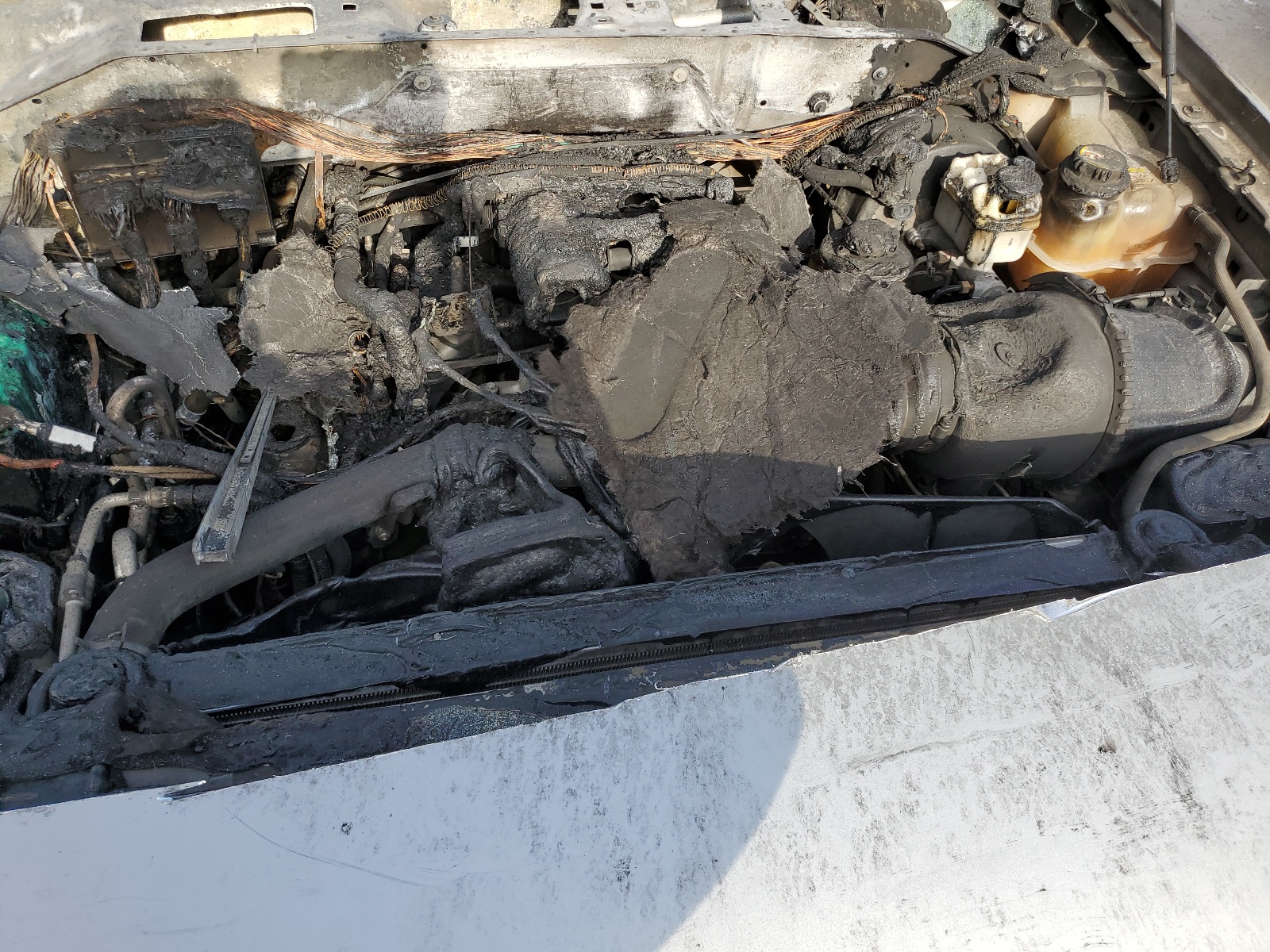 1FMFU16L44LA79579 2004 Ford Expedition Xlt