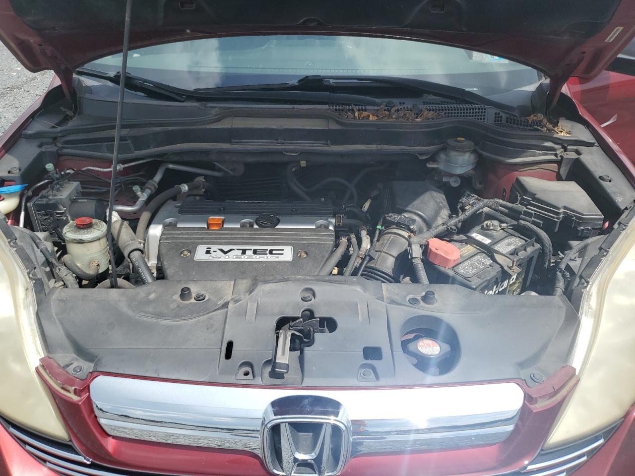 2007 Honda Cr-V Ex VIN: JHLRE48587C099856 Lot: 61727474