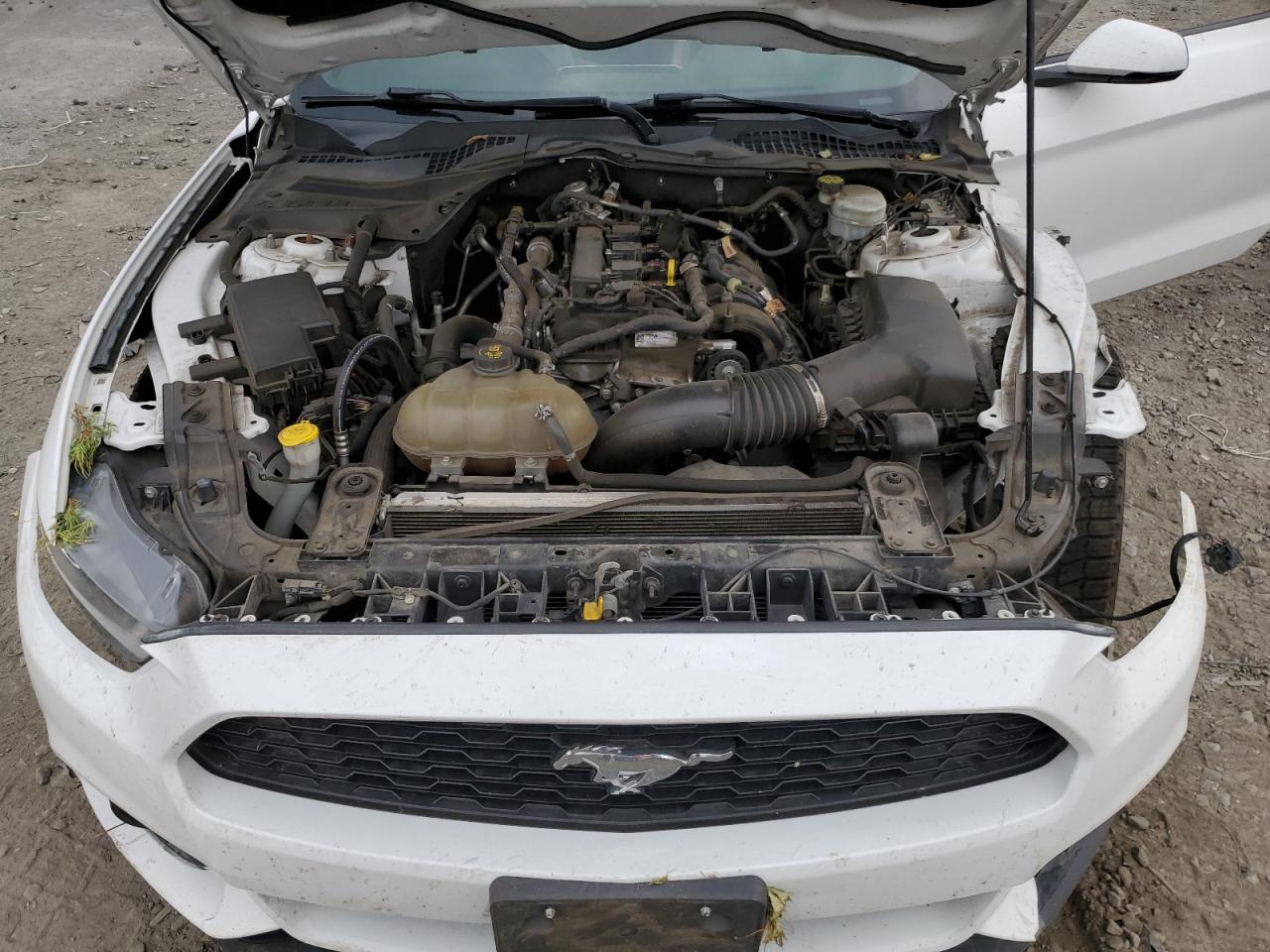 2017 Ford Mustang VIN: 1FA6P8TH1H5307753 Lot: 63446744