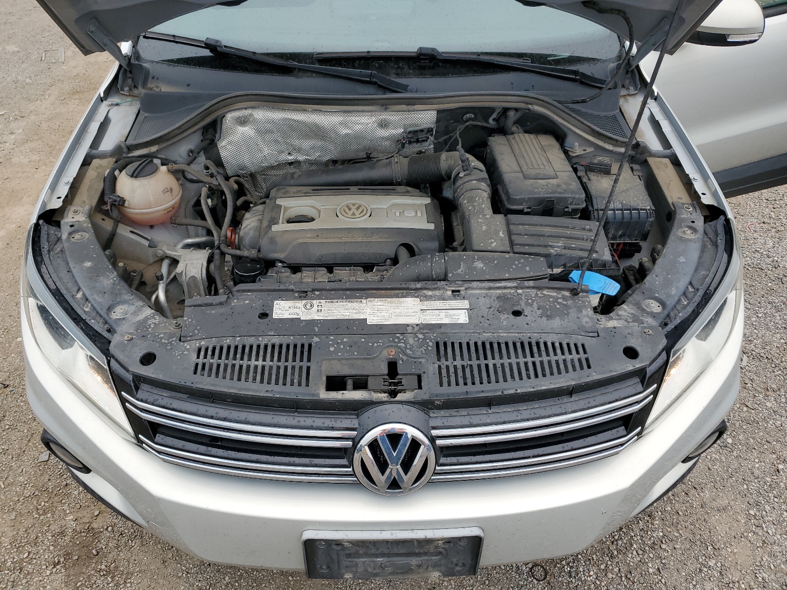 WVGBV7AX7CW559704 2012 Volkswagen Tiguan S