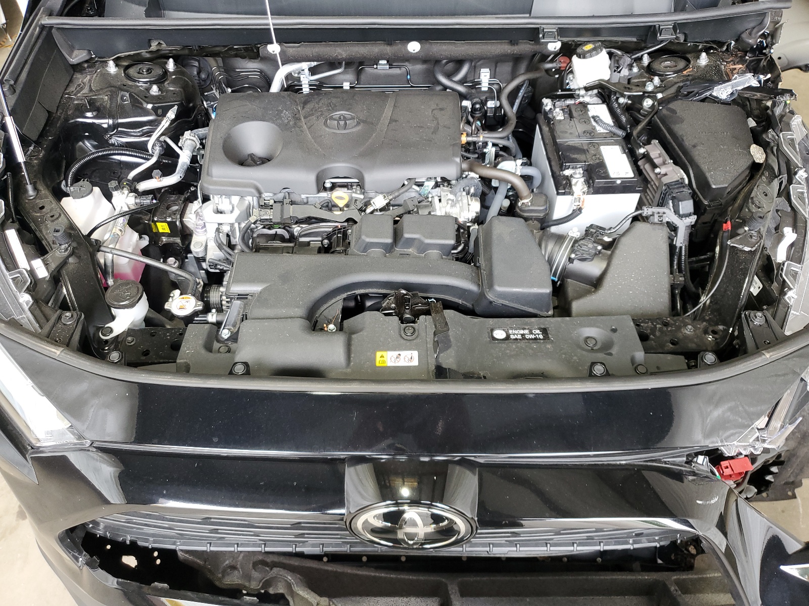 2T3P1RFV8RC446779 2024 Toyota Rav4 Xle