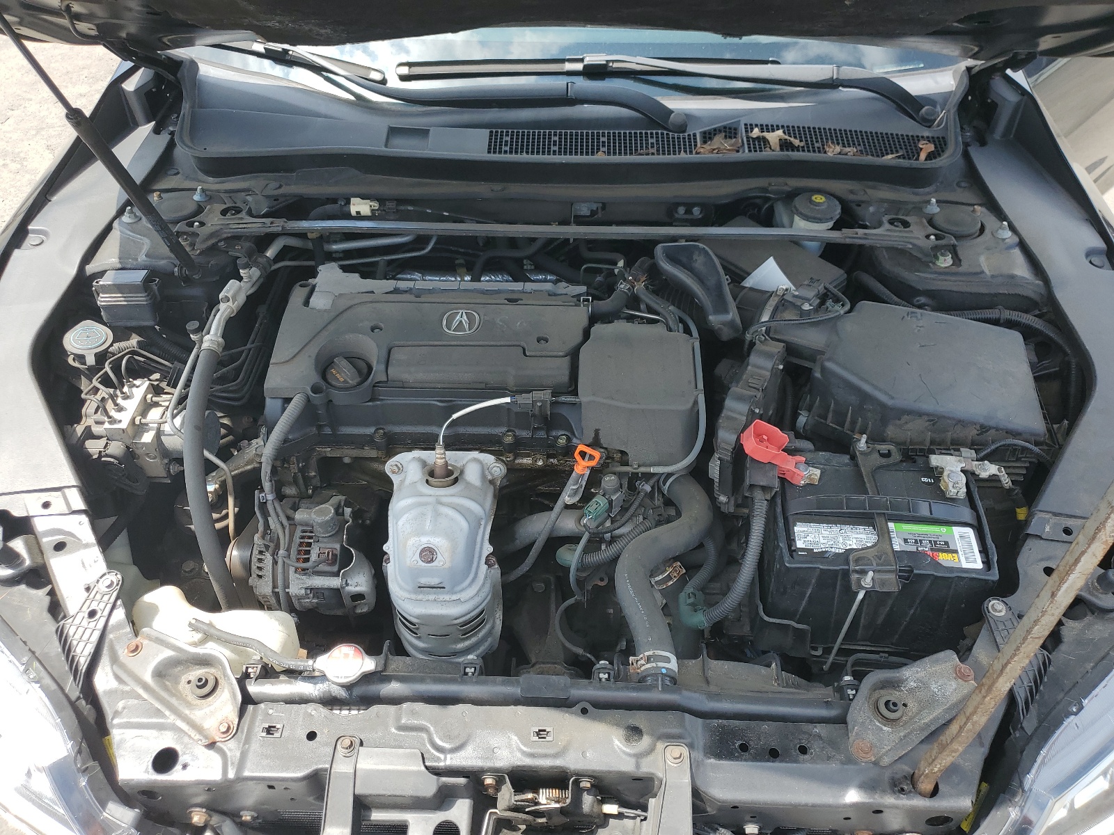 19UUB1F55GA004586 2016 Acura Tlx Tech