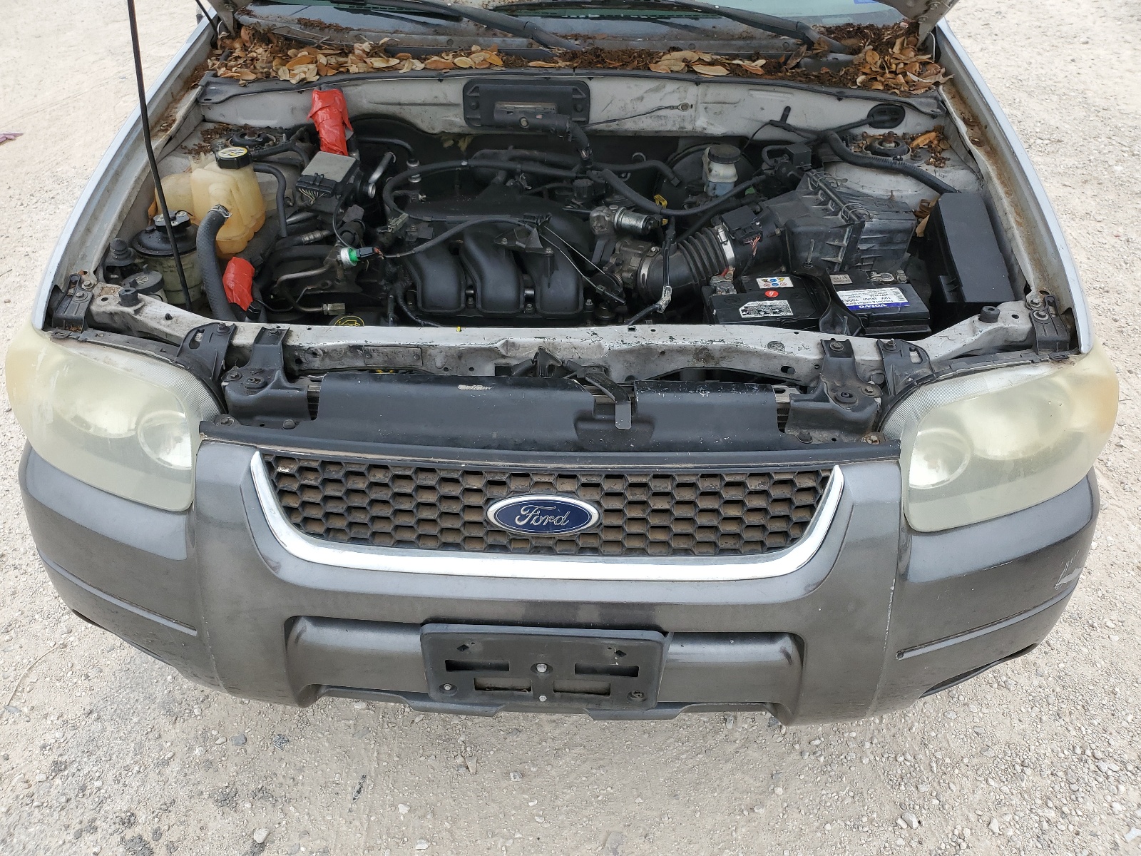 1FMYU03134KA19966 2004 Ford Escape Xlt