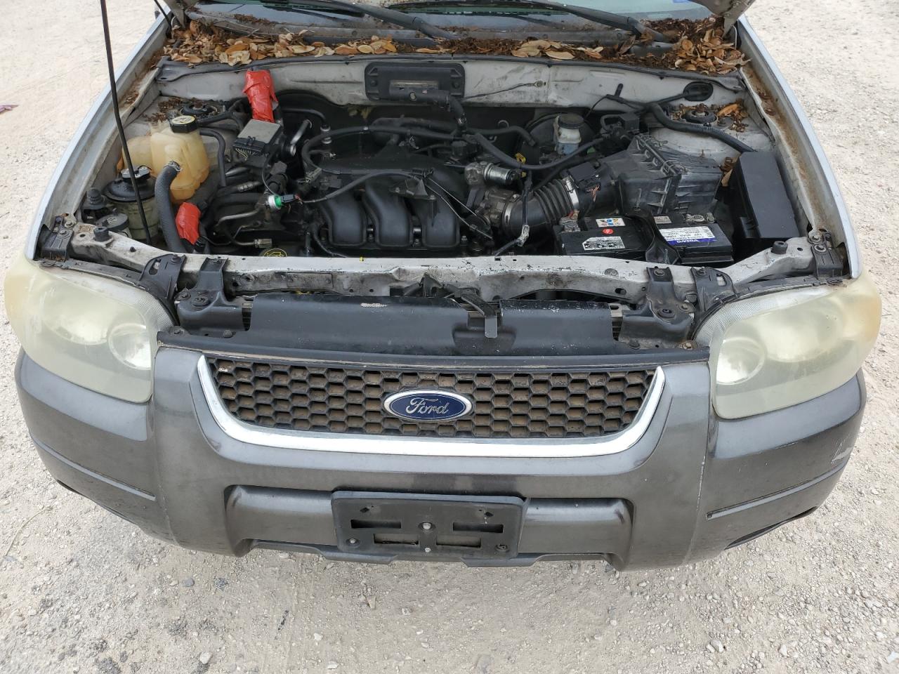 2004 Ford Escape Xlt VIN: 1FMYU03134KA19966 Lot: 63719874