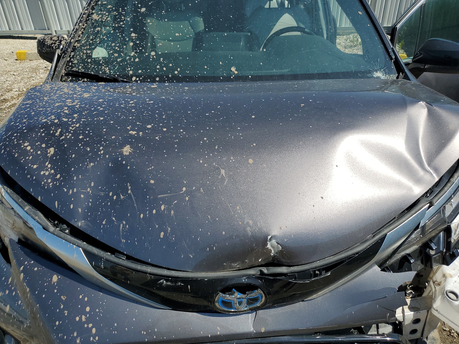 5TDGRKEC0MS032209 2021 Toyota Sienna Le