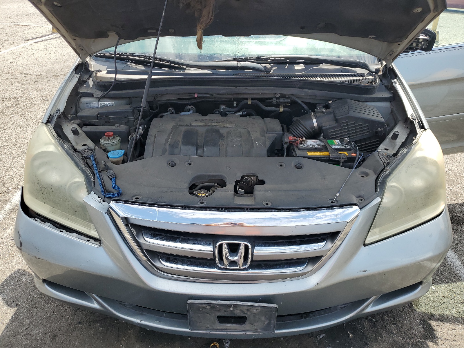 5FNRL38617B000223 2007 Honda Odyssey Exl