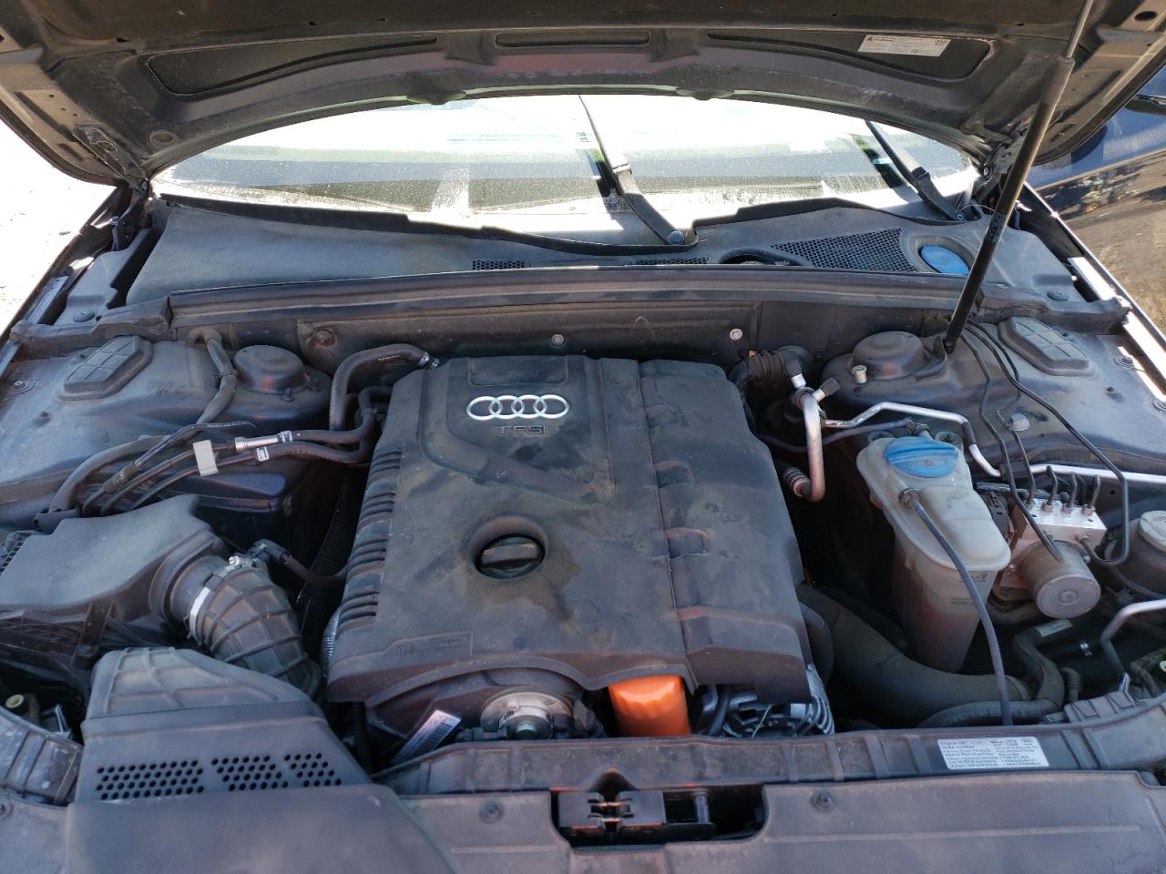 2011 Audi A4 Premium Plus VIN: WAUFFAFL9BN039981 Lot: 61699064