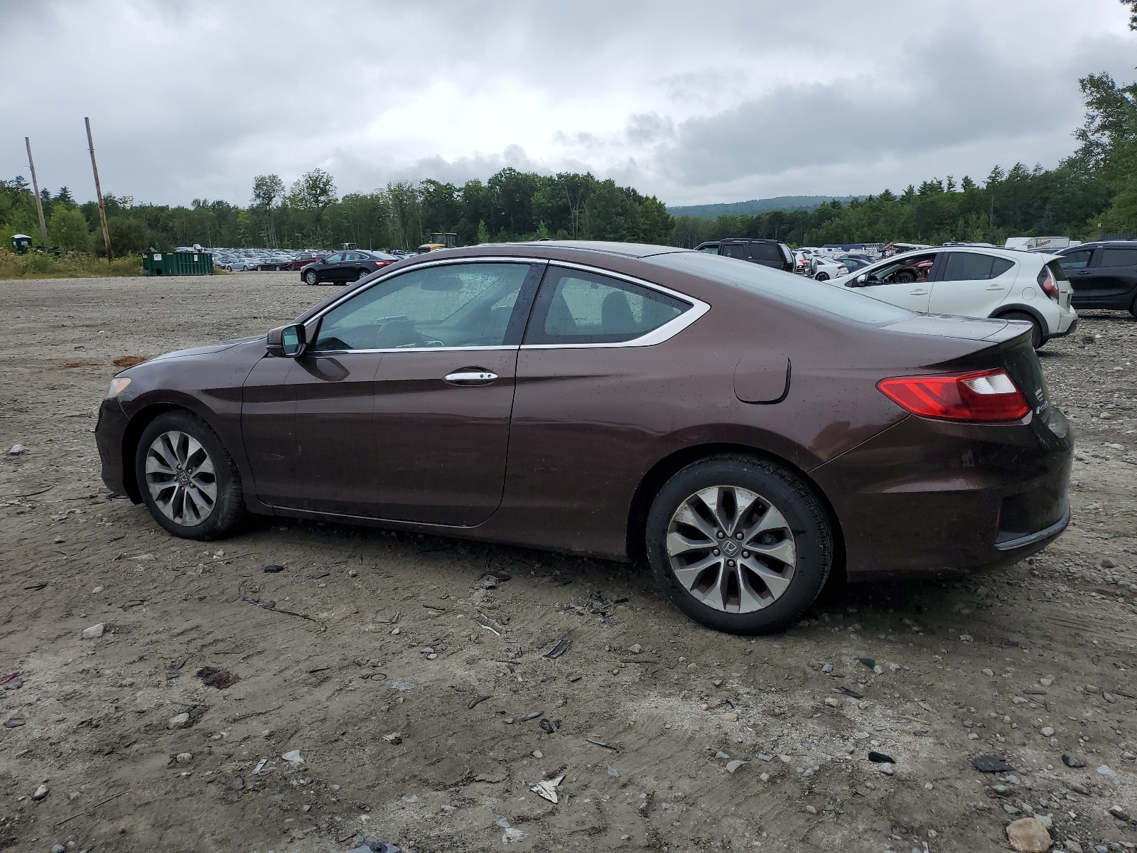 2013 Honda Accord Ex vin: 1HGCT1B74DA024176