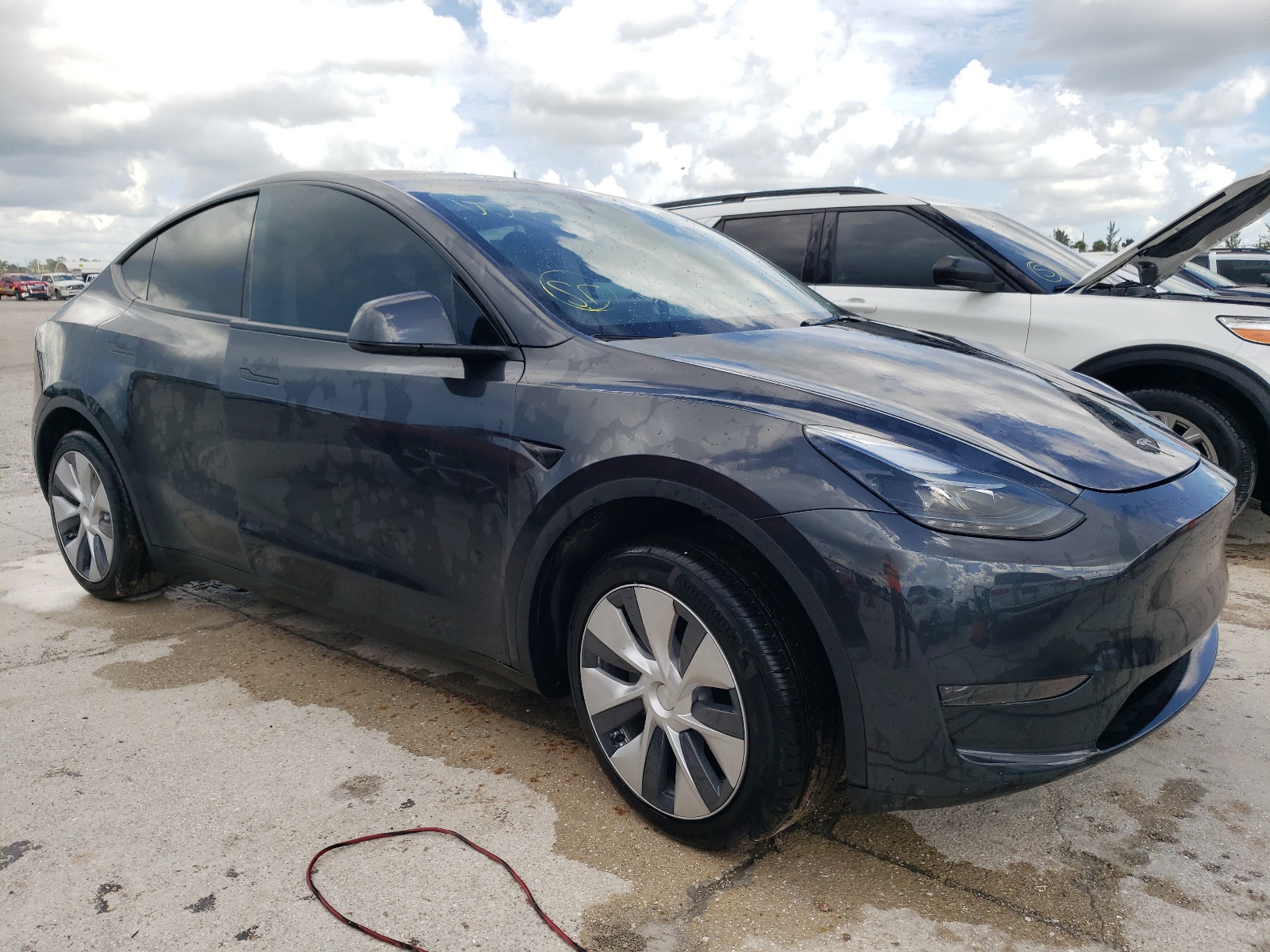 2024 Tesla Model Y vin: 7SAYGDED9RF001909